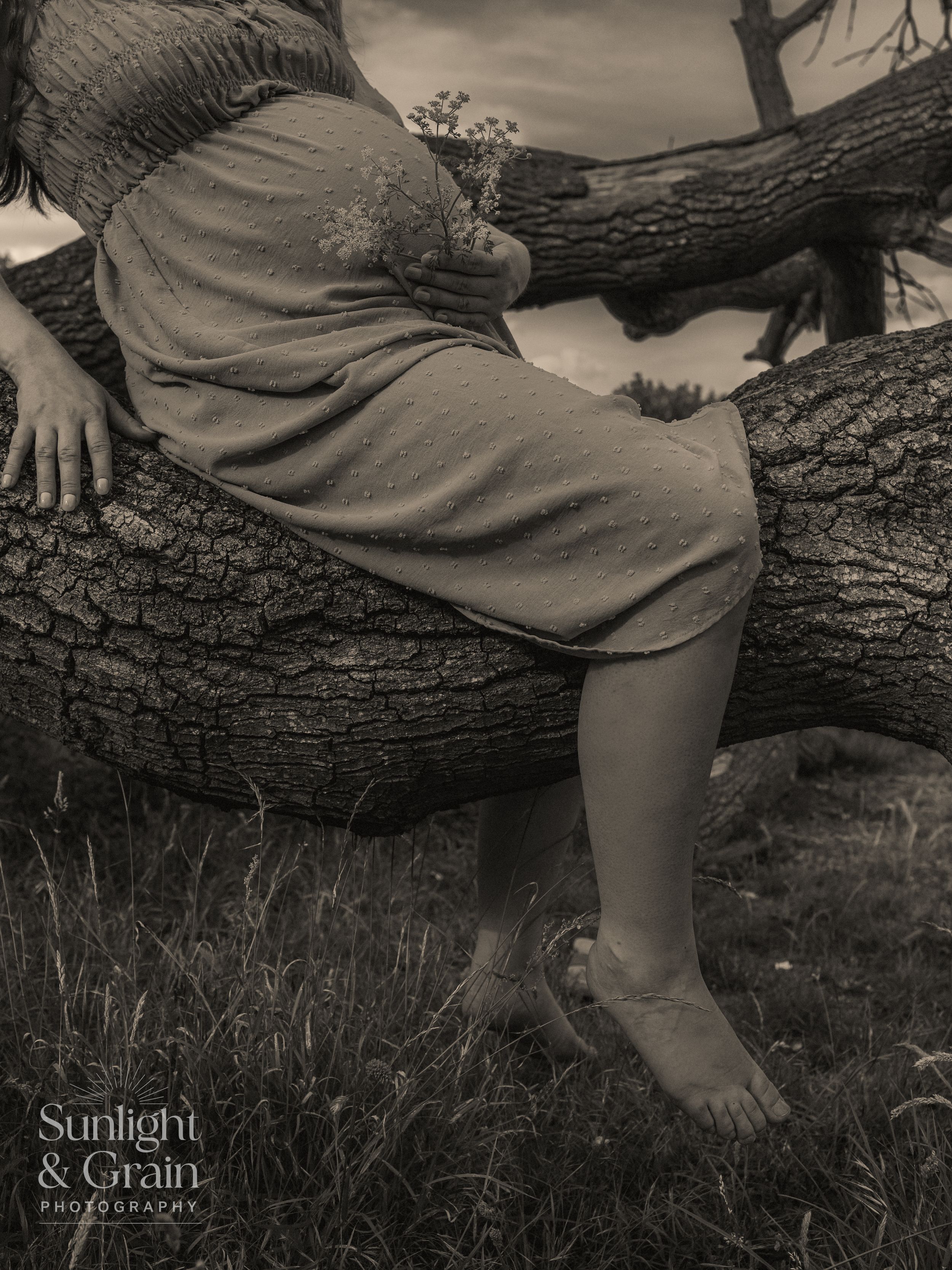 Outdoor maternity soulful, natural light, monochrome, cropped detail barefoot sitting on tree, Thetford, female empowerment session
