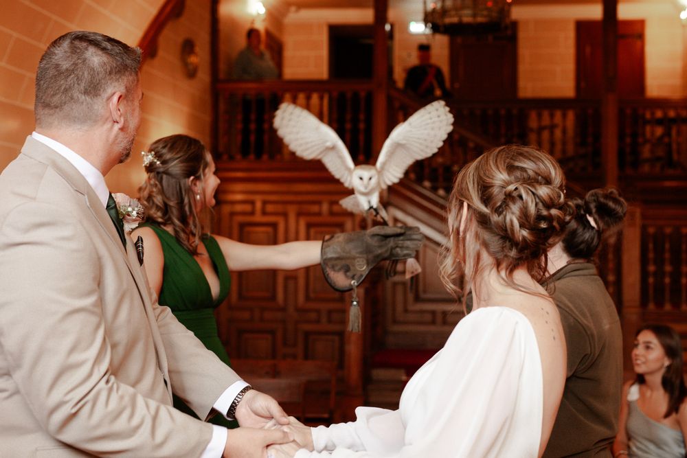 A white dove spreads its wings during an indoor ceremony while people watch in a wood-paneled room.