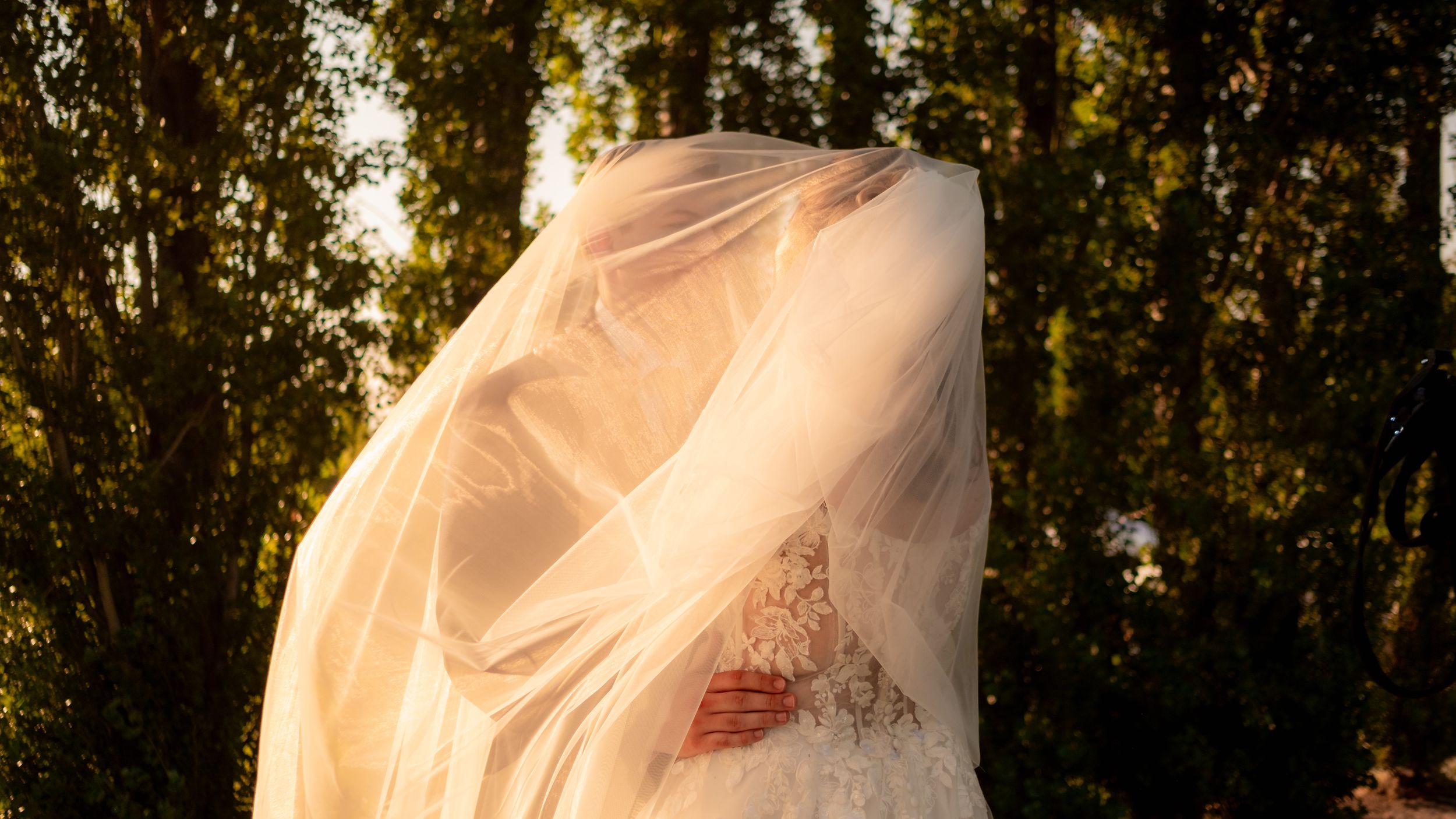 A flowing white bridal veil catches golden sunlight through trees in an artistic wedding photo.