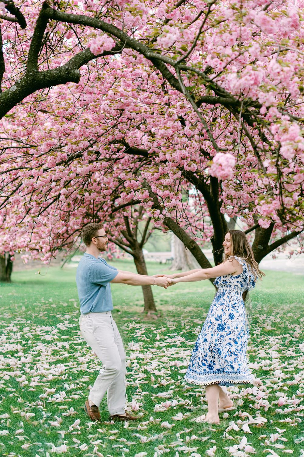 A joyful dance under blooming cherry blossom trees with fallen petals on the grass.