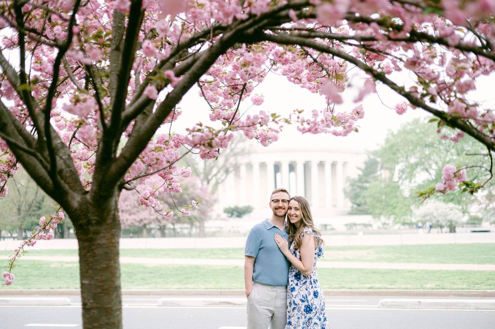 A romantic spring portrait under cherry blossoms with Jefferson Memorial in background.