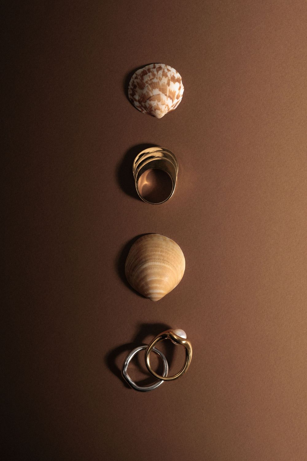 Seashells arranged in a minimalist composition against a dark brown background with dramatic shadows and lighting.
