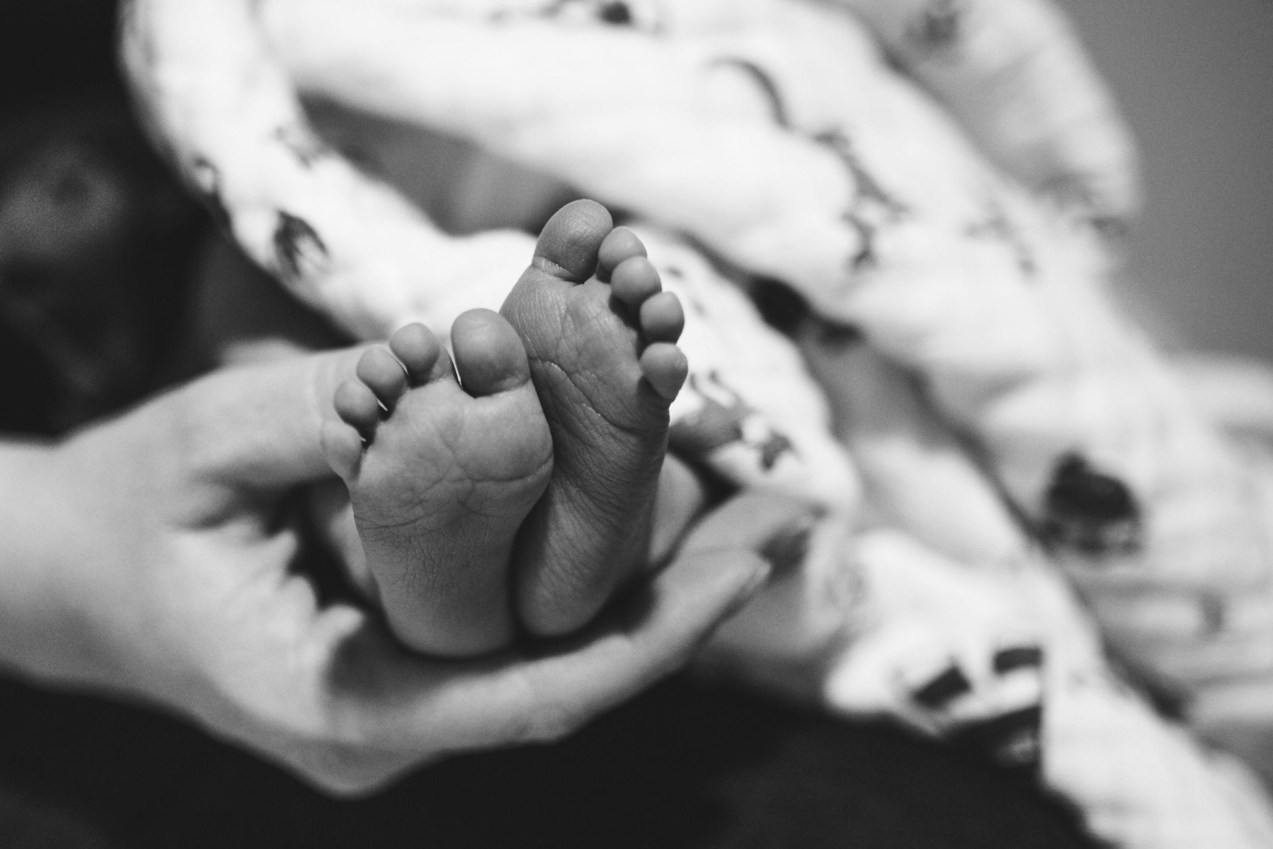 Newborn photo by Kristy Baker Photography, a local Steamboat Springs, Colorado photographer.