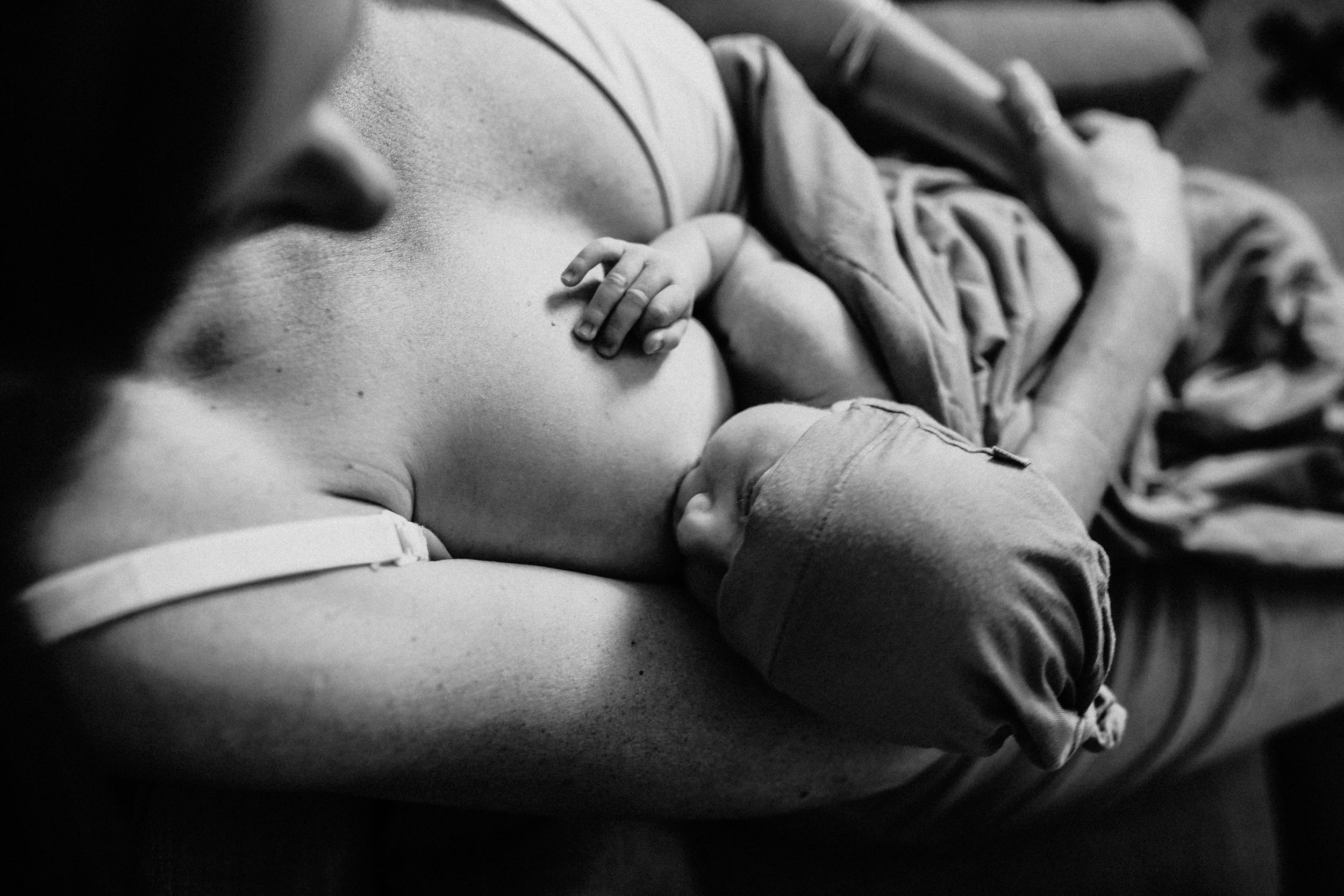 Newborn photo by Kristy Baker Photography, a local Steamboat Springs, Colorado photographer.