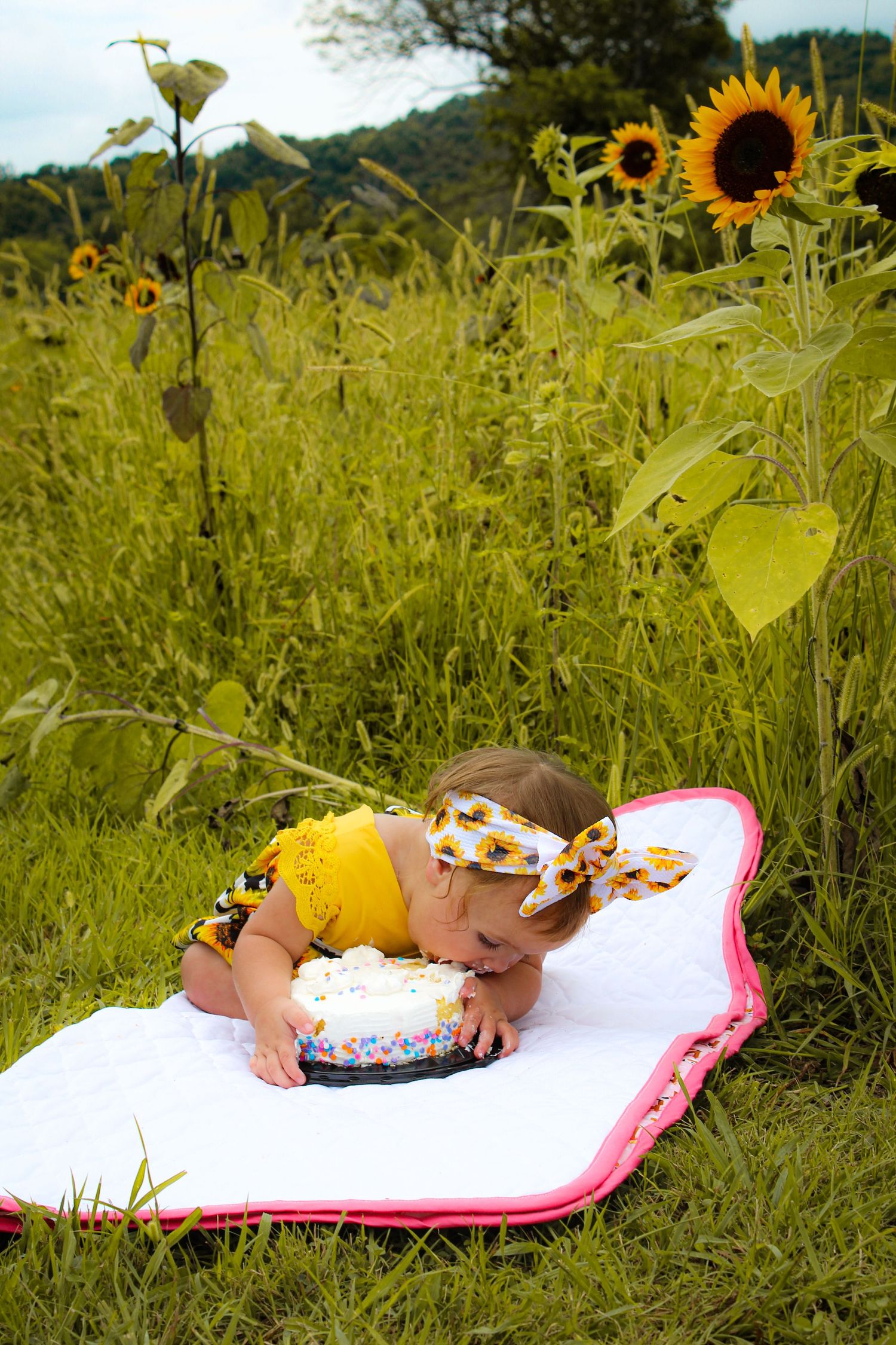 Someone relaxes in a sunflower field on a white blanket with pink trim on a sunny summer day.