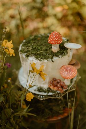 Whimsical cake decorated with green moss, red toadstool mushrooms, and surrounded by yellow flowers.