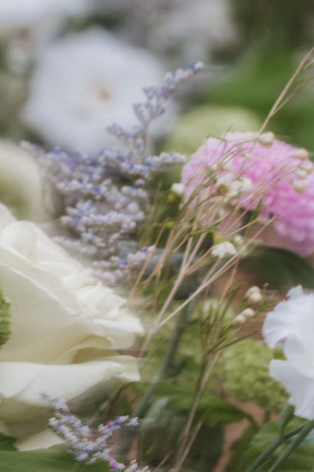 Soft focus closeup of white roses and delicate purple lavender flowers in a romantic garden arrangement.
