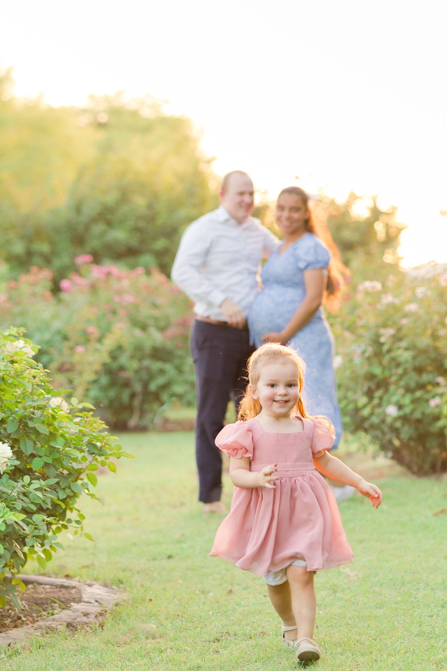 Toddler girl running towards camera with parents smiling from behind with mom cradling pregnant bump in a Rose Garden in Mesa, AZ