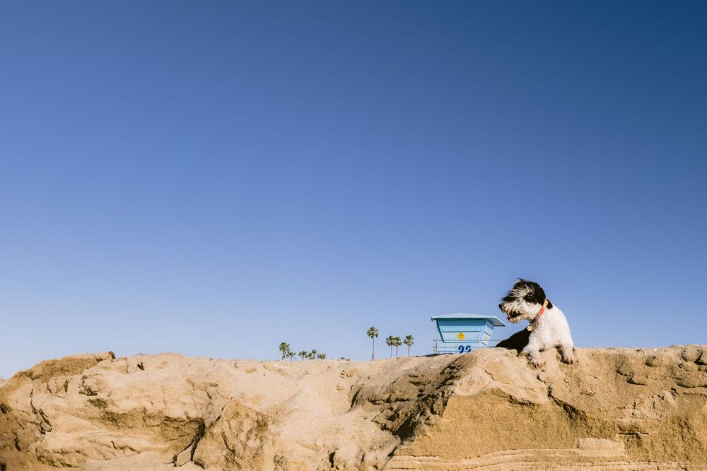 Desert landscape panorama showing rolling sand dunes against a bright blue sky.