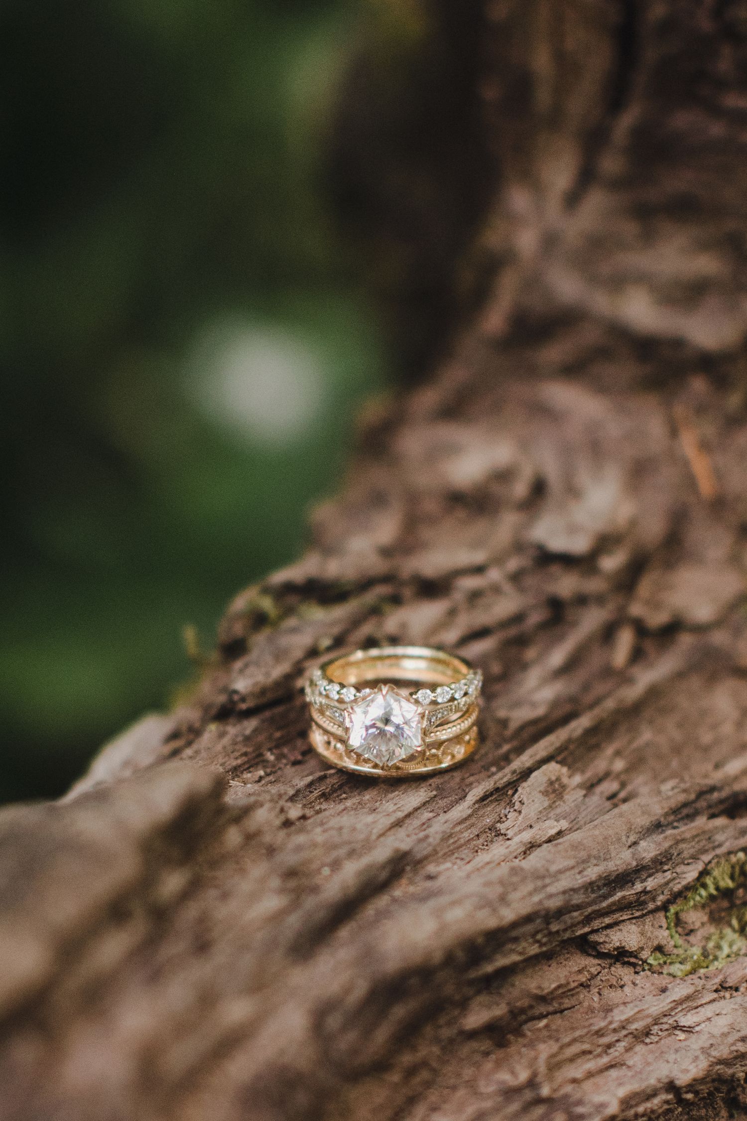 A gold diamond engagement ring sits on textured tree bark in natural outdoor lighting.