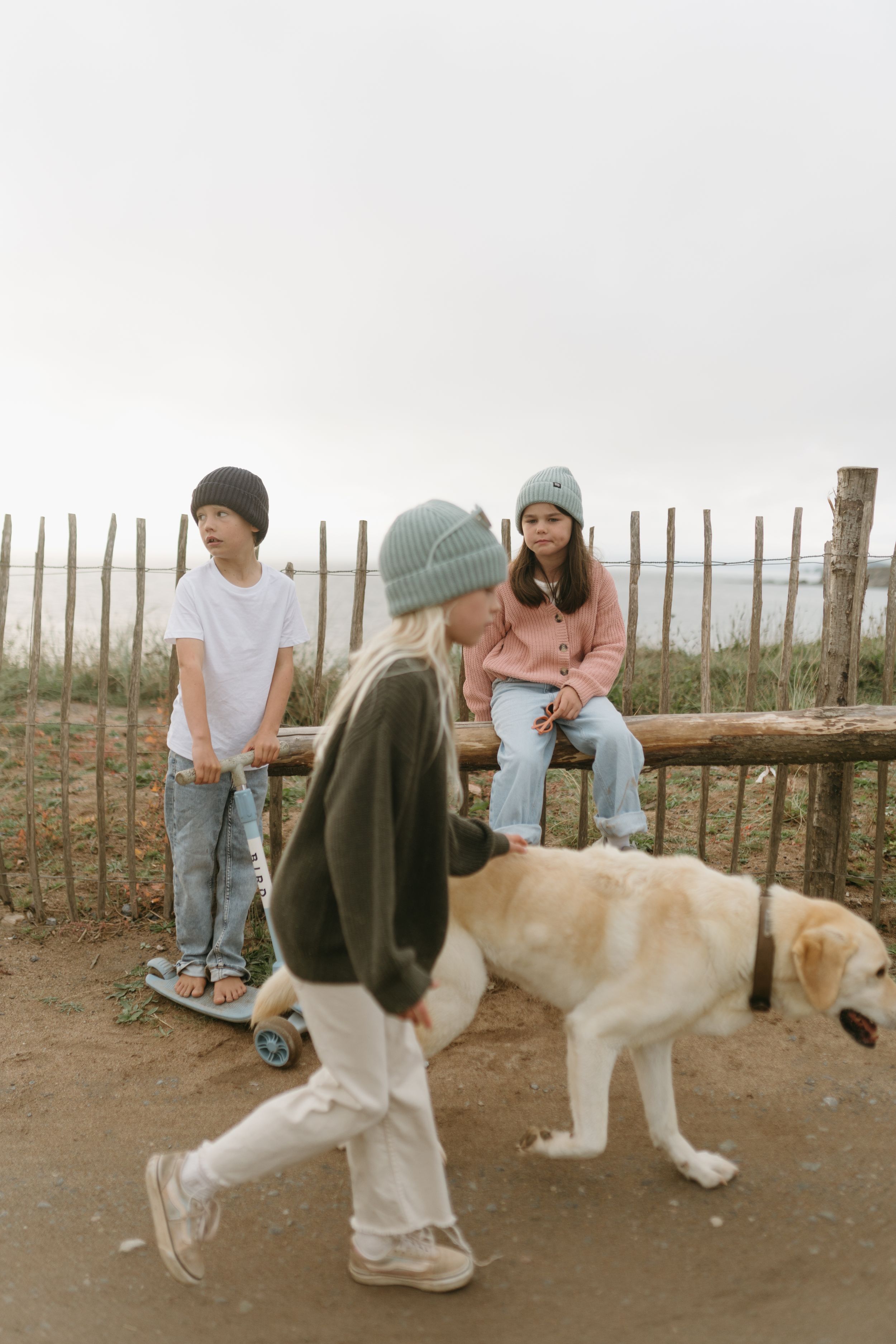 People enjoying an afternoon outdoors with a skateboard and yellow Labrador dog near a wooden fence.