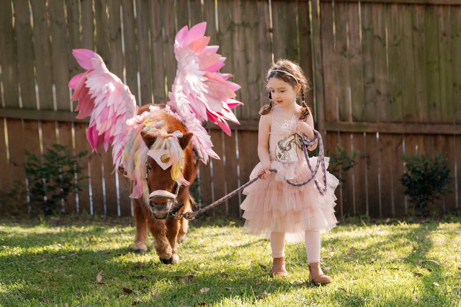 girl is leading a unicorn during her birthday unicorn visit pohotoshoot in Sydney Lane Cove
