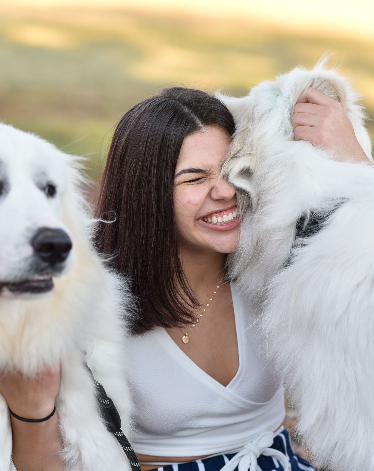 Senior session, outdoor, city, bright and airy, graduation, dogs