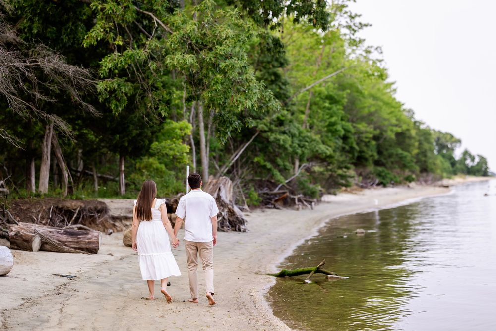A couple walking hand in hand on a secluded beach surrounded by lush trees and driftwood along the shore.