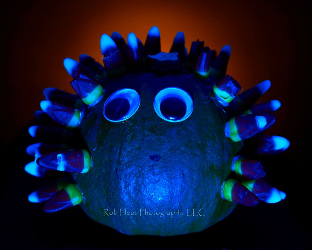 Pumpkin covered in candy corns lit with colored gels to give Halloween vibe.