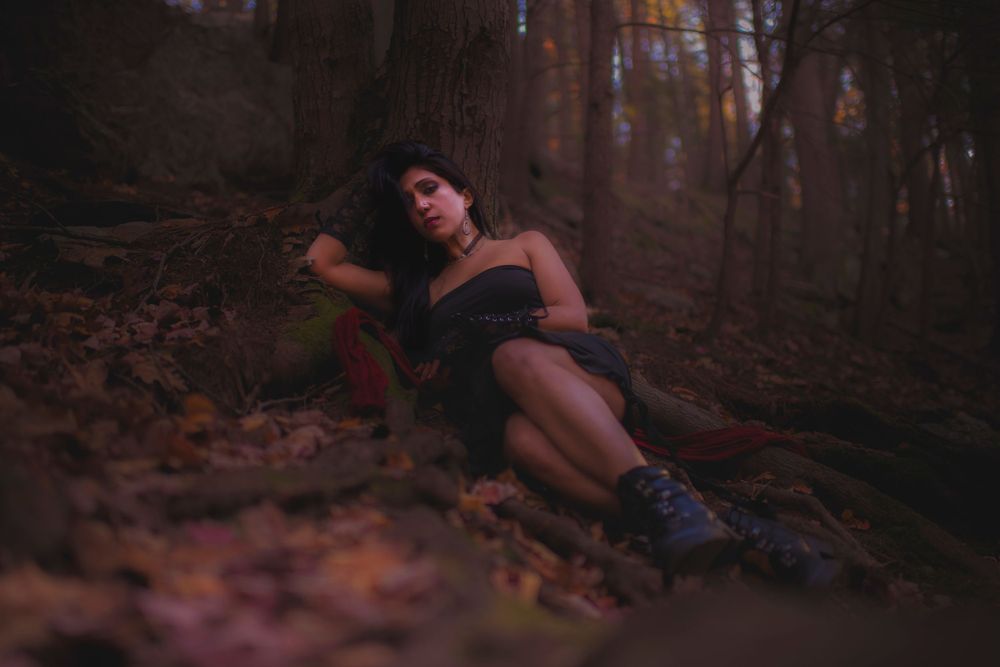 Atmospheric forest photography with fallen leaves and dark tones.