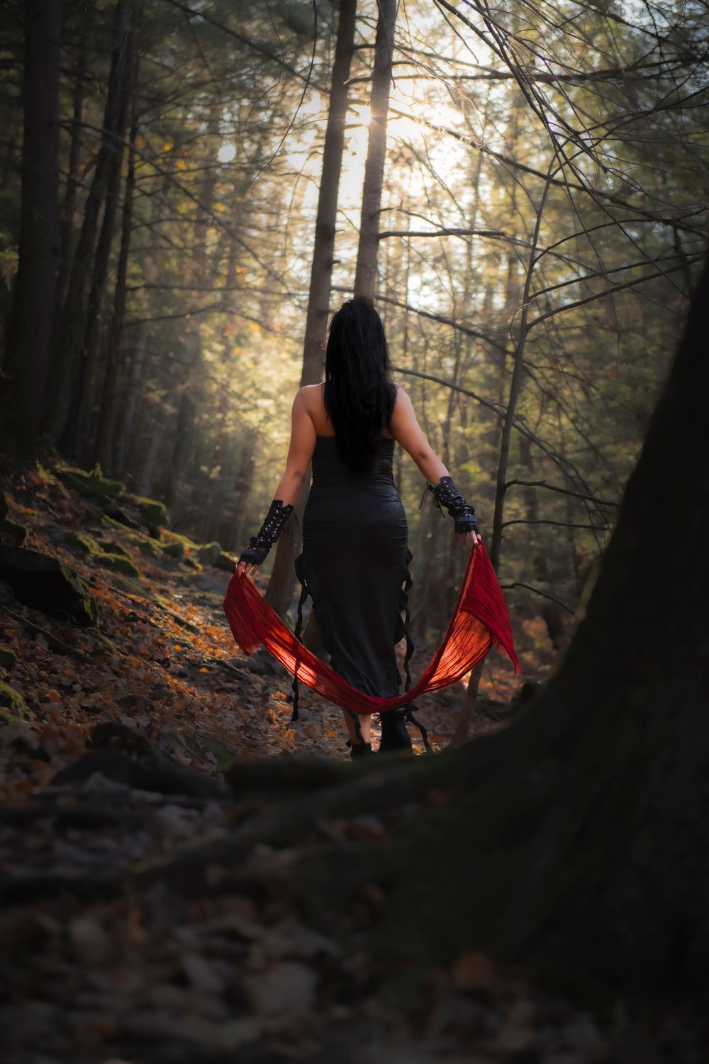 Silhouette in black dress holding red fabric in misty forest scene.