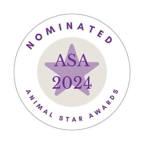 Purple banner for Animal Star Awards 2024 showing finalist designation for best pet business.