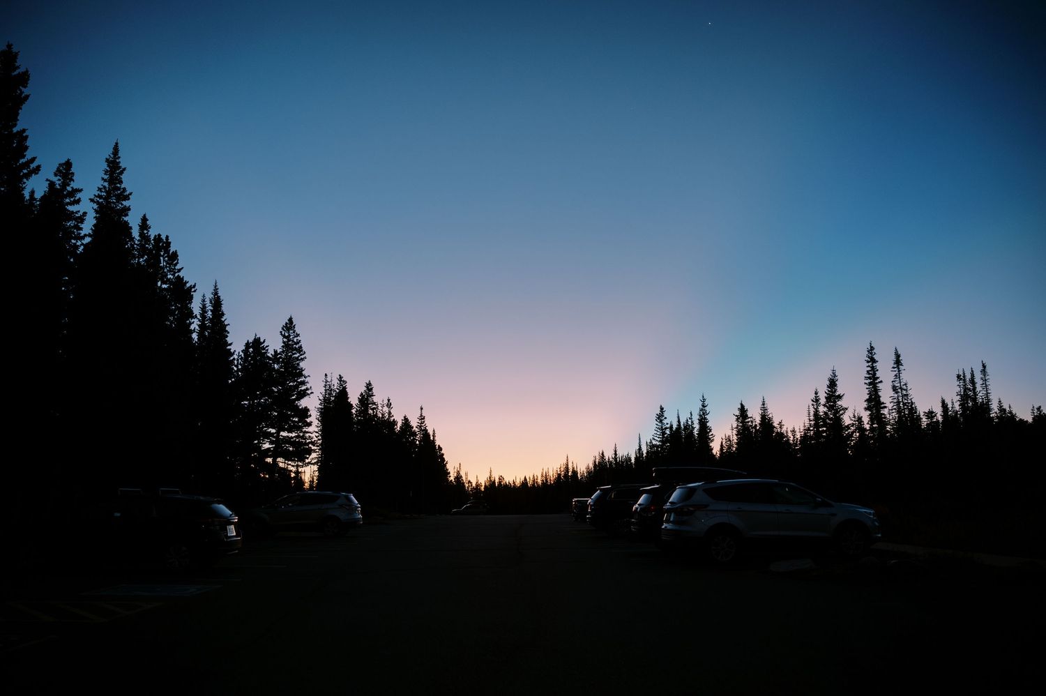 Silhouette of pine trees against a twilight sky with vehicles parked in the foreground at dusk.