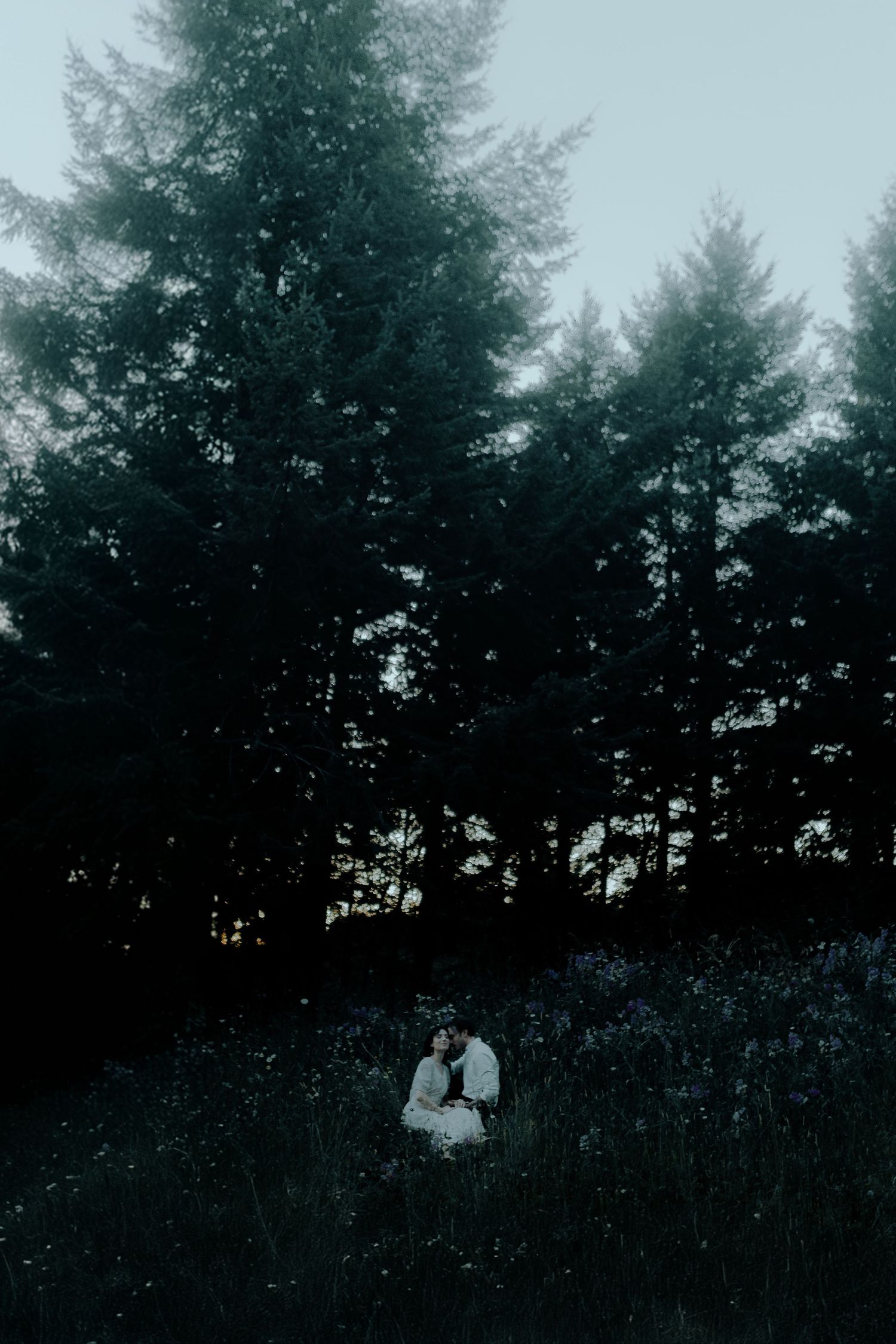 Dreamy forest scene with silhouettes against evergreen trees in fading light.
