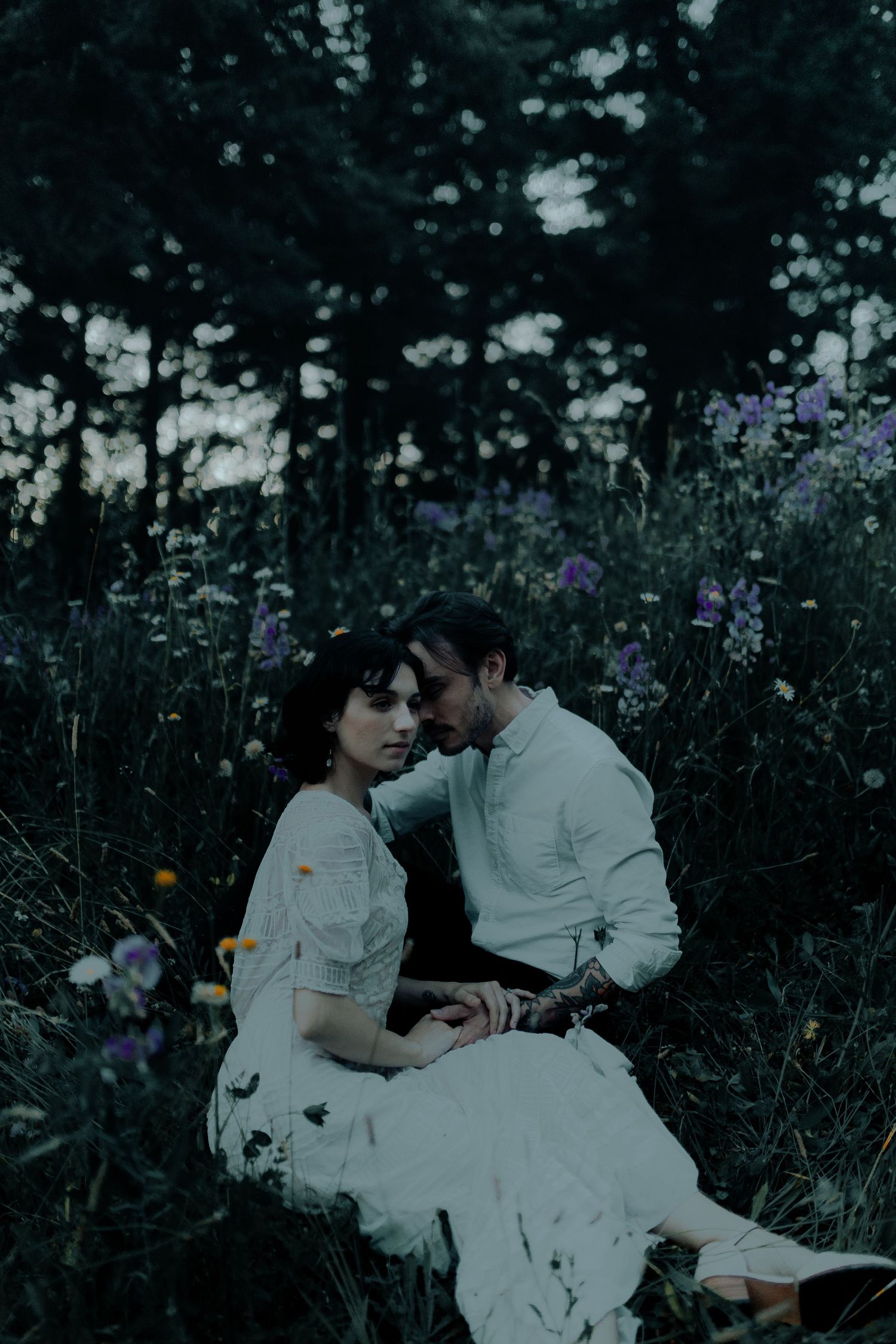 Romantic scene in a wildflower meadow with purple blooms and evergreen trees.