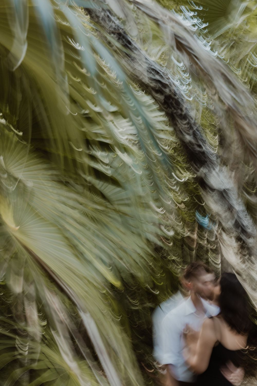 Artistic portrait of couple embracing through blurred palm fronds.
