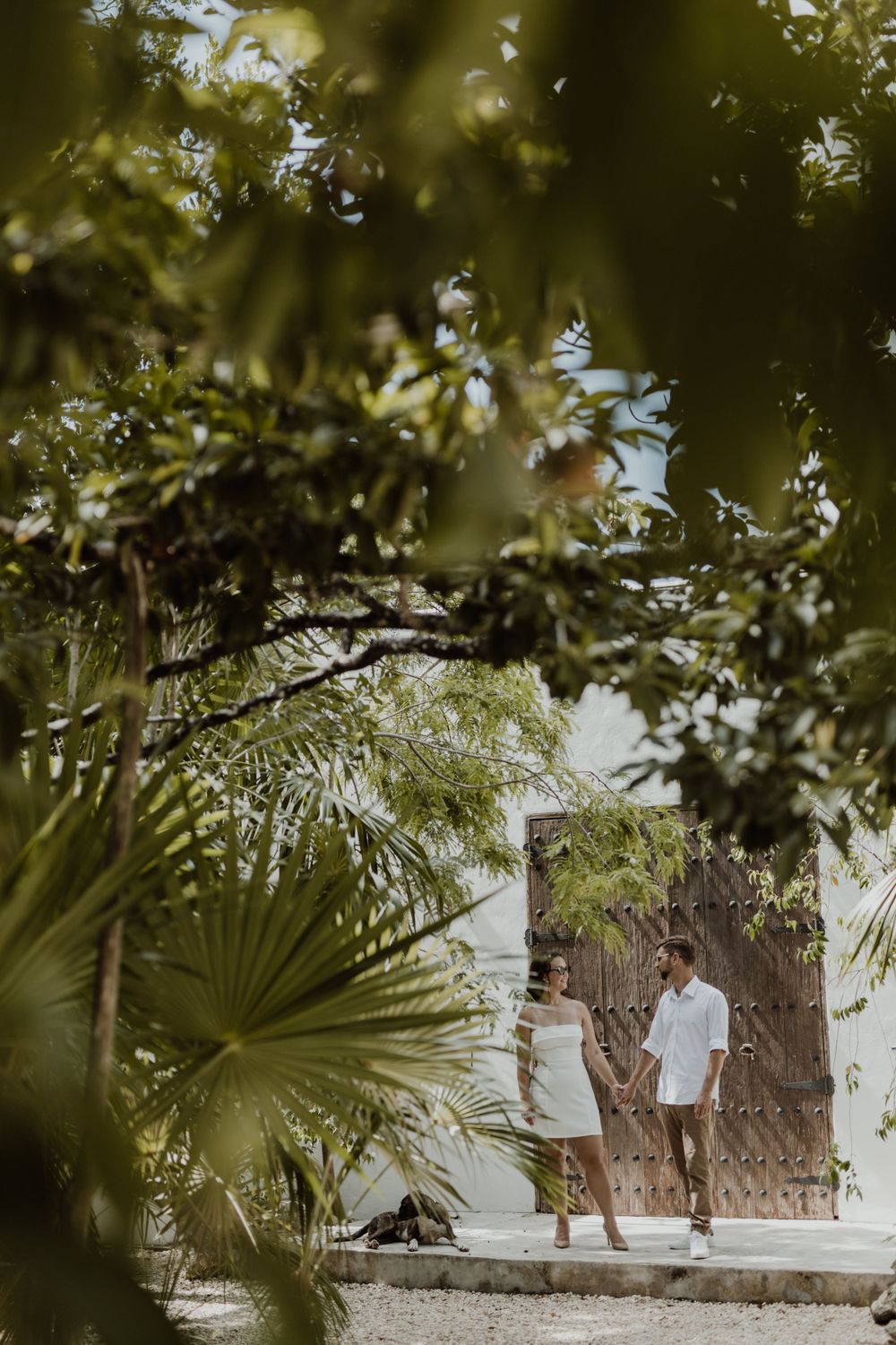 Through lush palm fronds, a couple walks along a white-walled pathway in tropical surroundings.