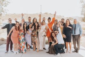 Large wedding group celebrates with raised arms and joyful expressions outdoors.