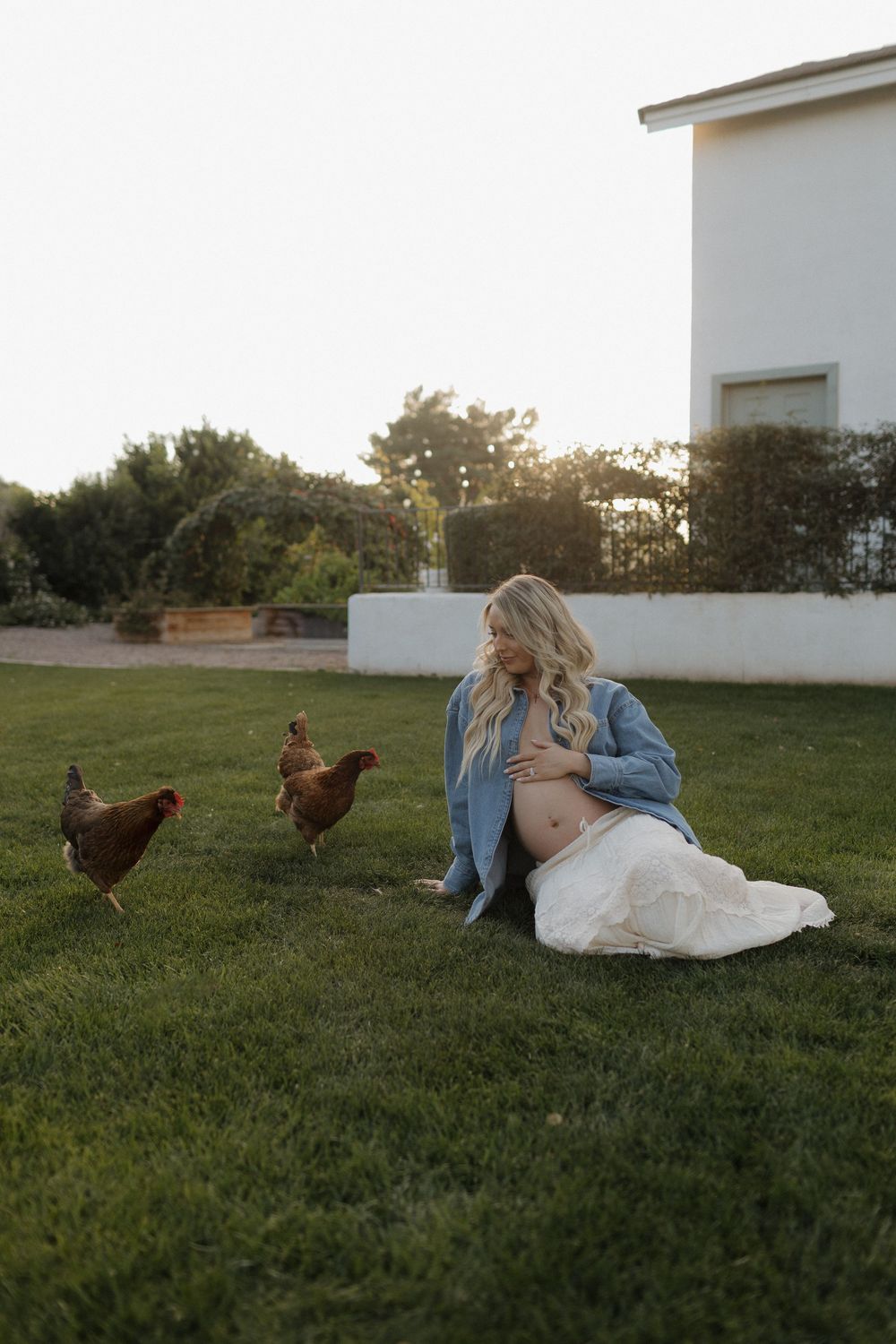 A peaceful scene in a grassy field with chickens and a small white building in the background.