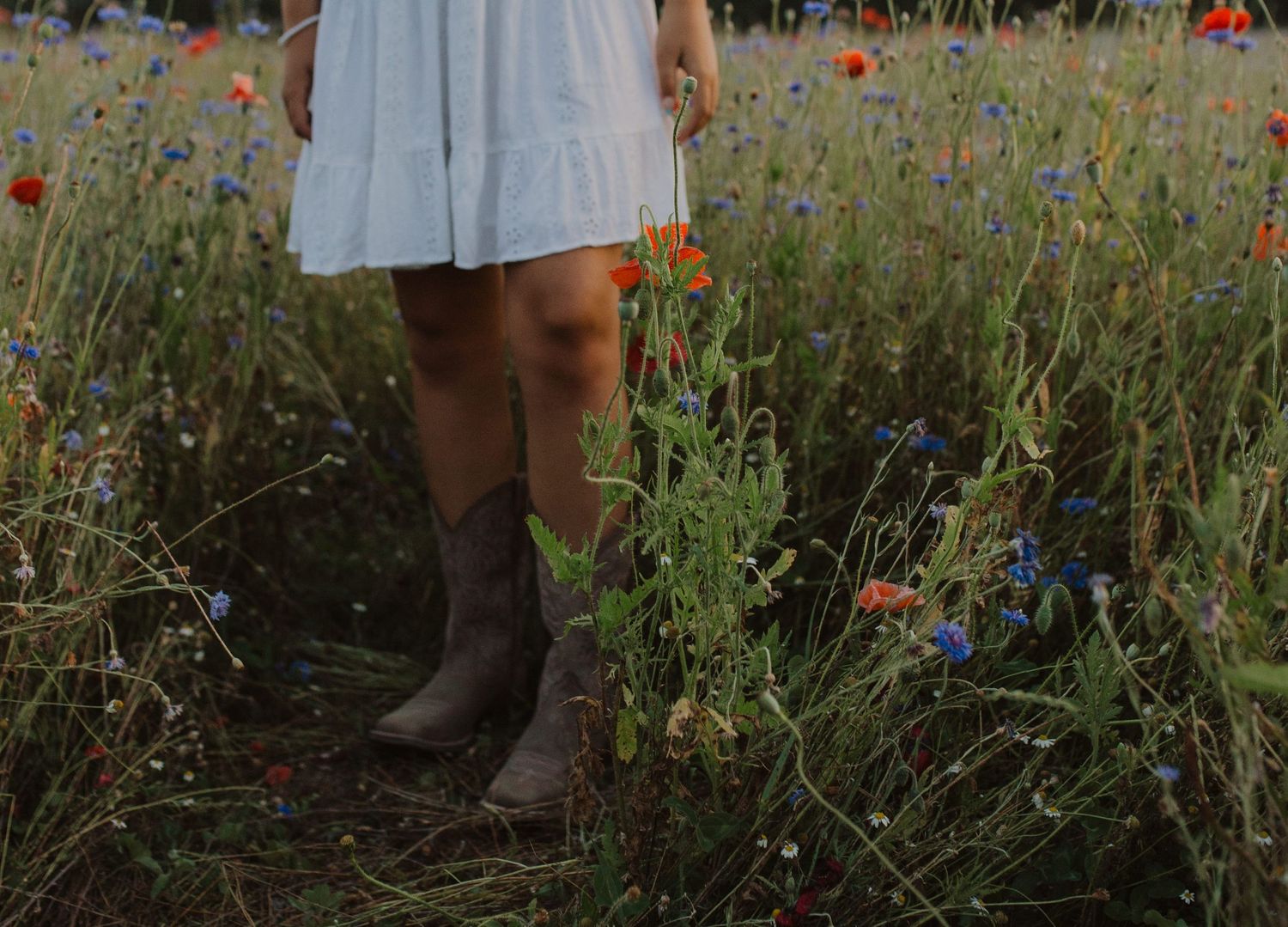 Boots and a white dress visible among tall wildflowers and poppies in a summer field.