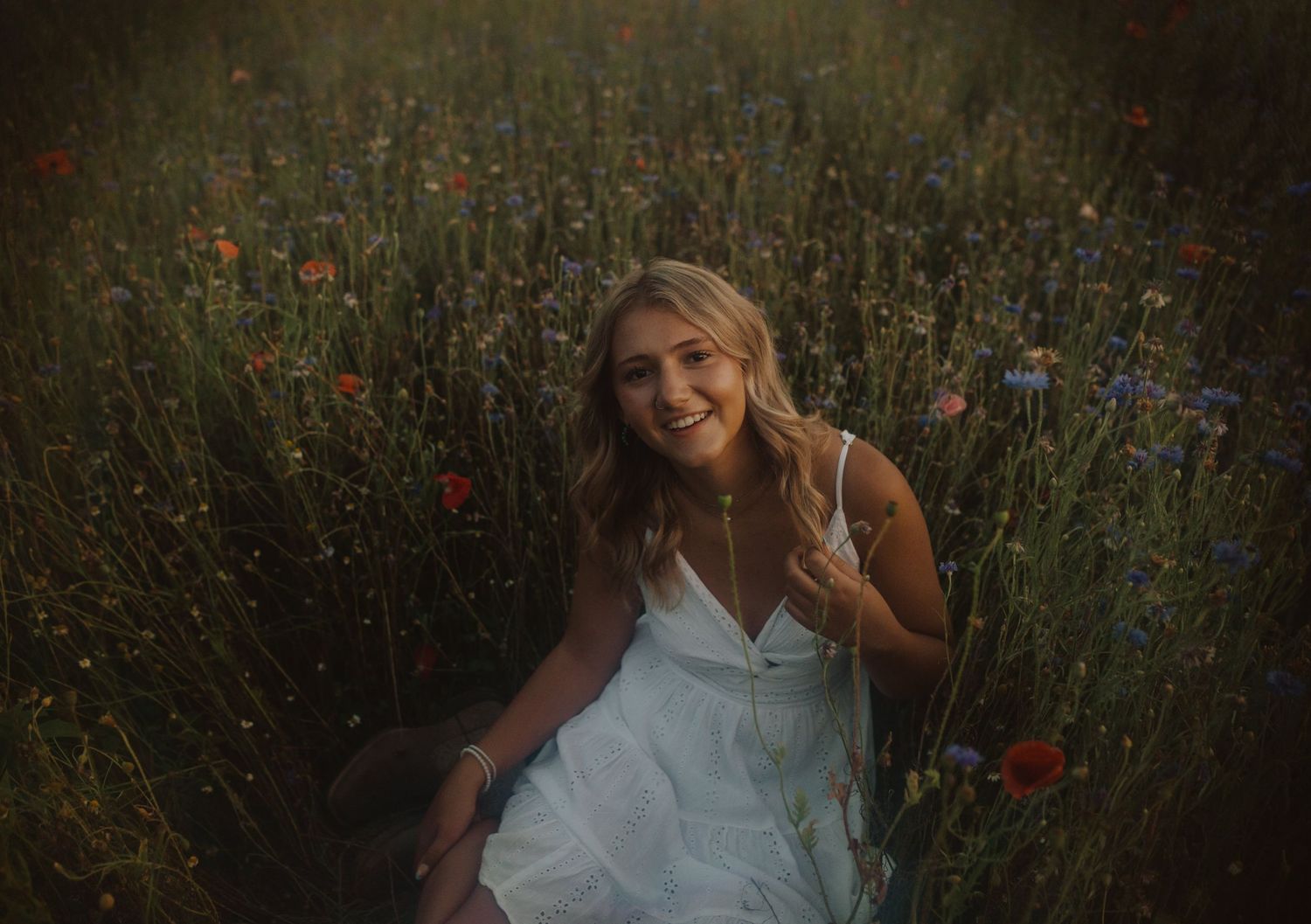 Moody evening photography in a wild meadow with mixed flowers and natural lighting.