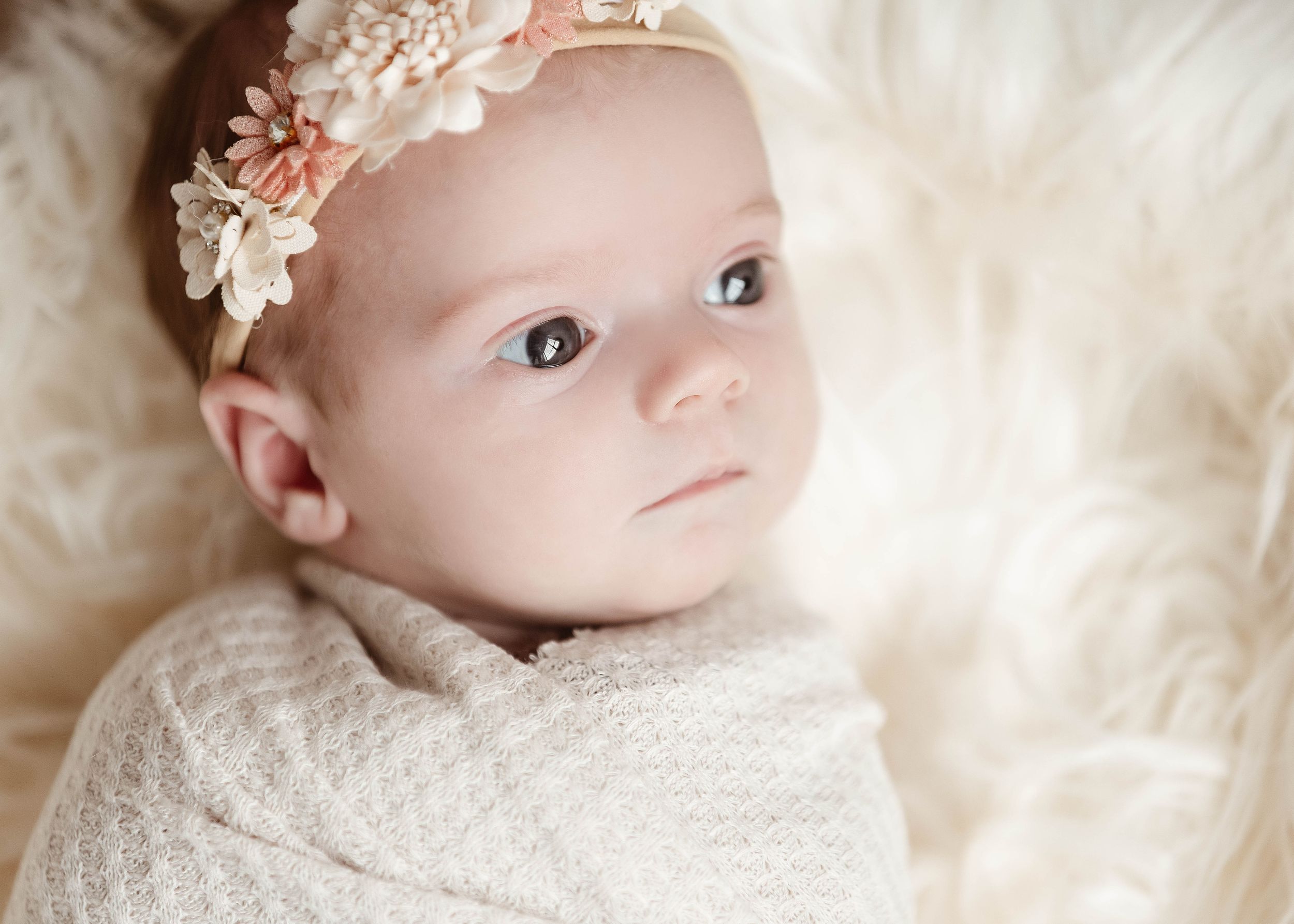 Series of delicate newborn portraits with pink floral headband against cream background.
