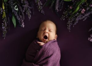 Newborn baby yawning while swaddled in purple wrap, surrounded by lavender flowers on a purple background.