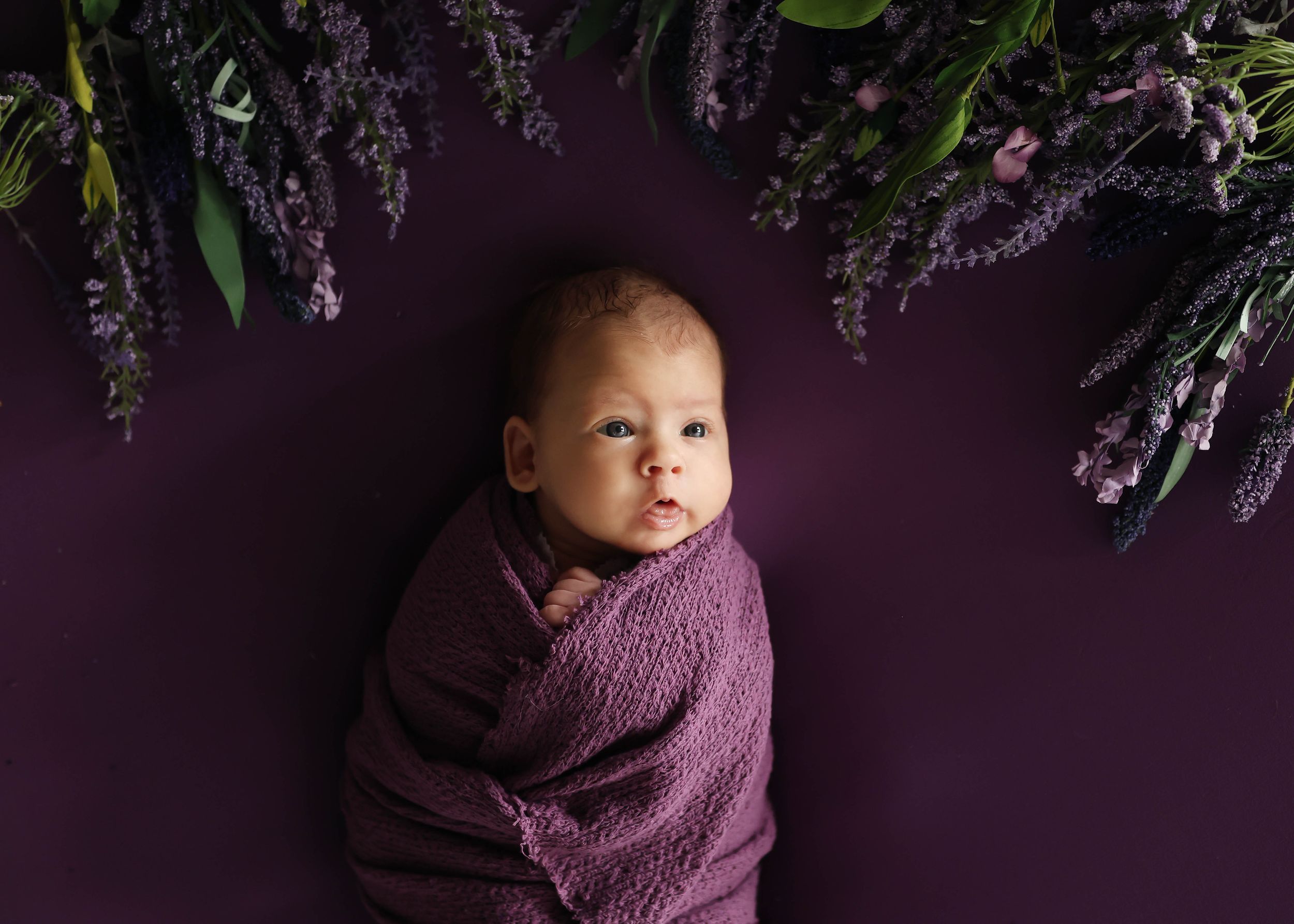 Newborn baby swaddled in purple wrap lying on purple backdrop surrounded by lavender and green floral arrangements.