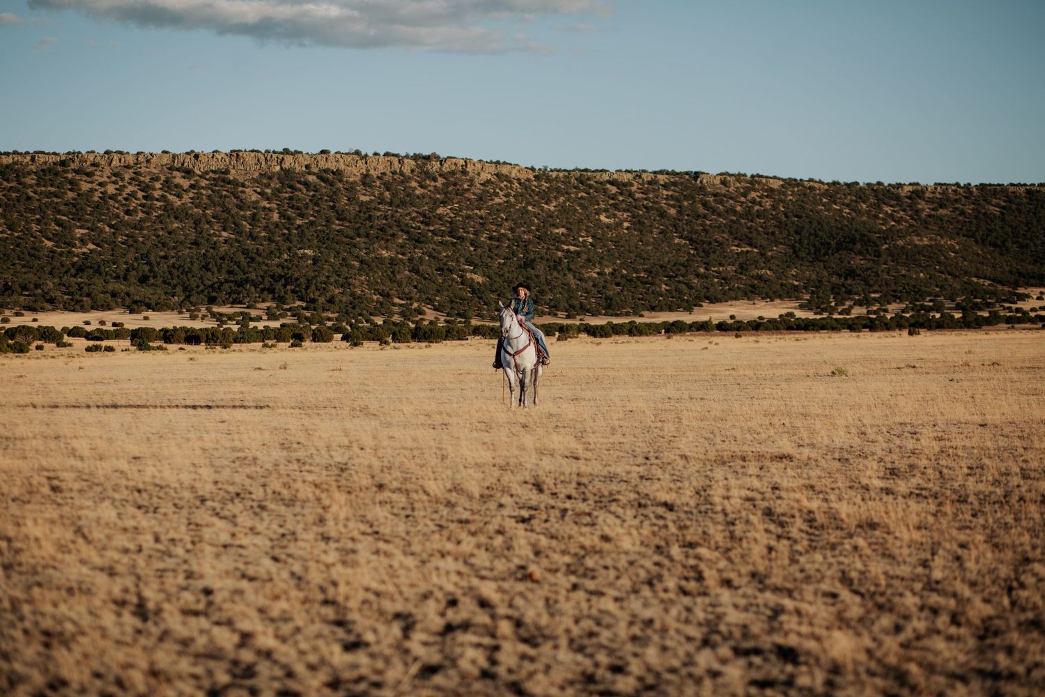 Desert landscape panorama with distant figures walking across vast open terrain.