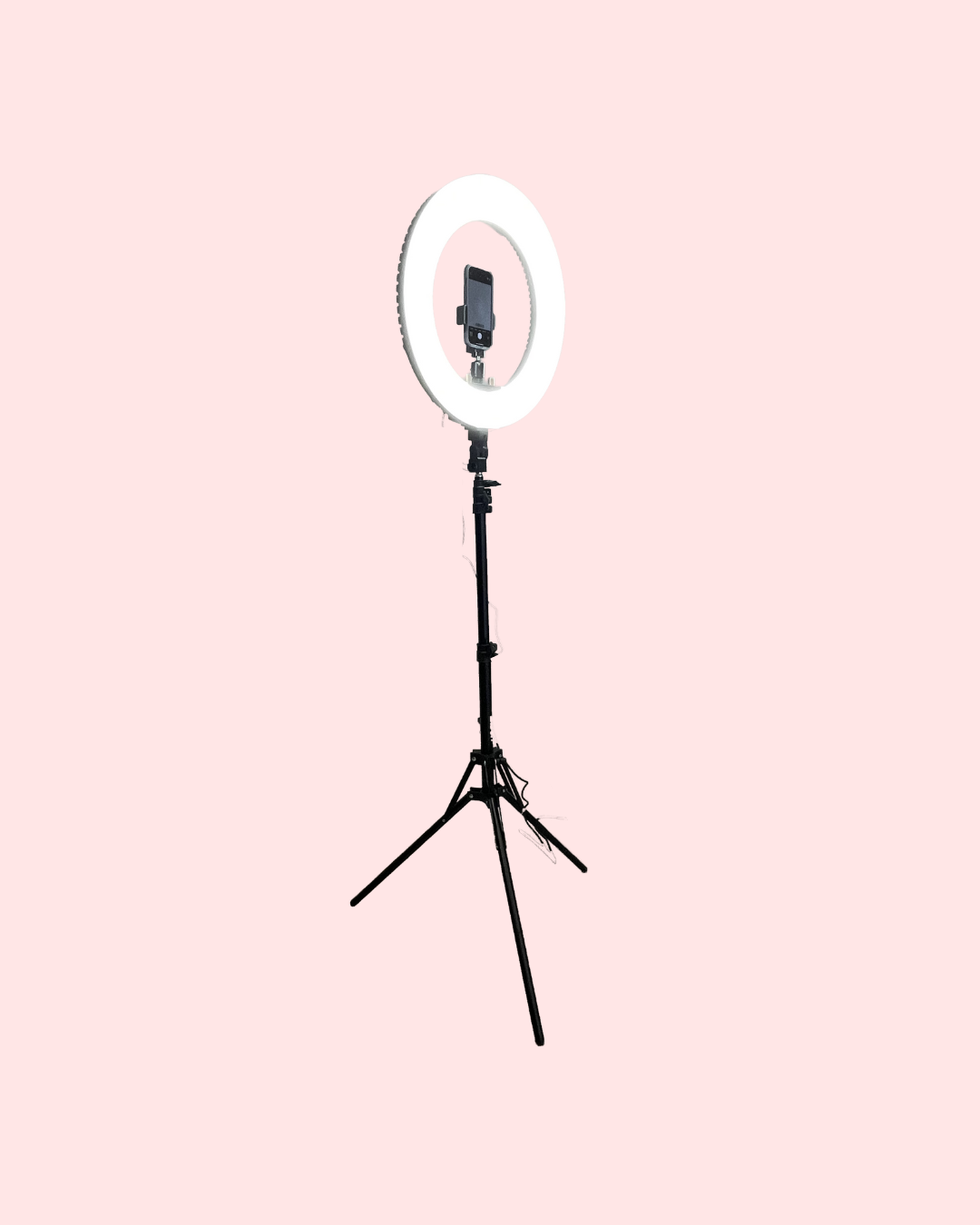 Selfie-Station to capture all your memories. You can send the photo straight to your phone!