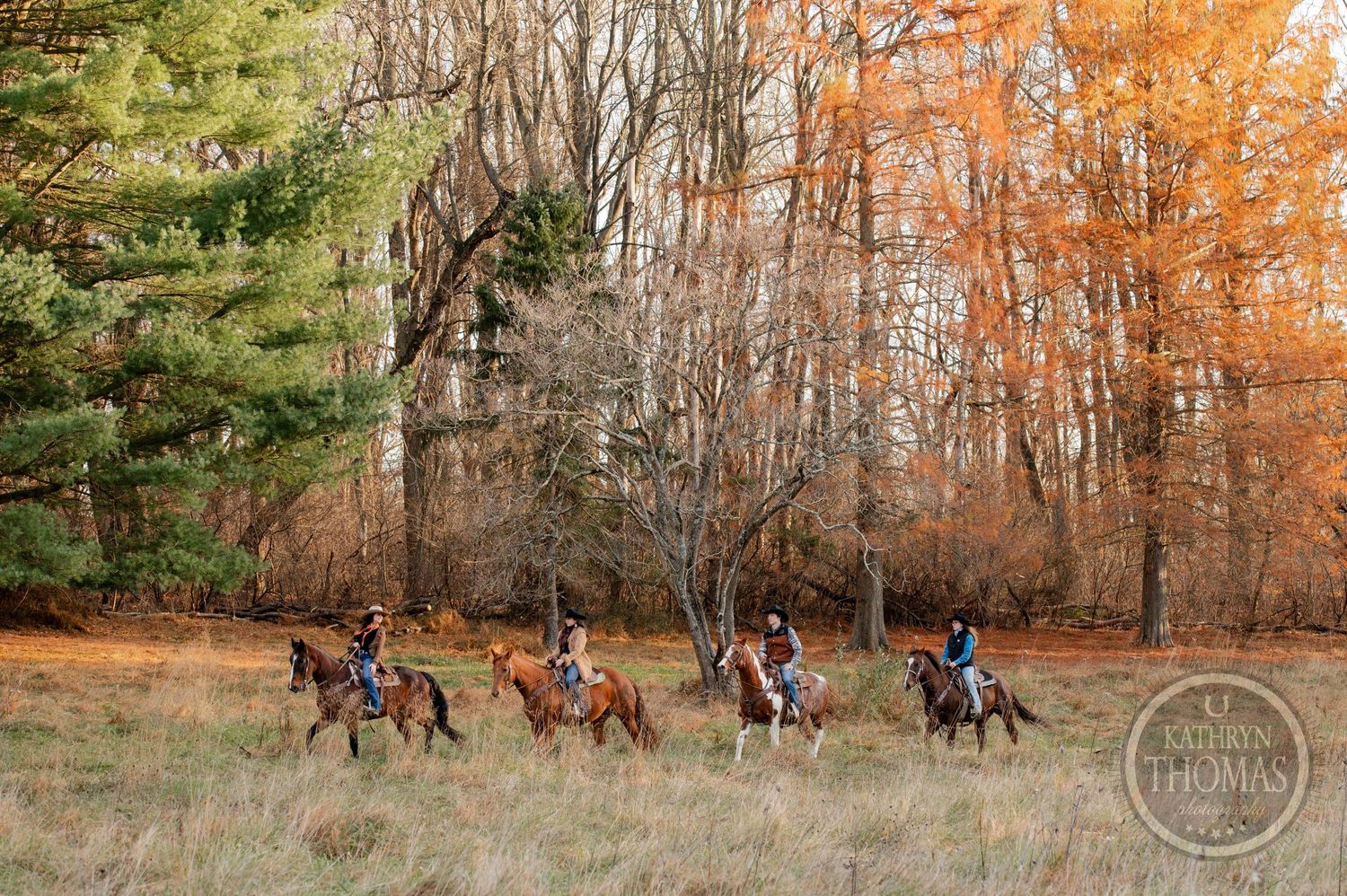 Horseback riders in western gear traveling across field with autumn trees in background.