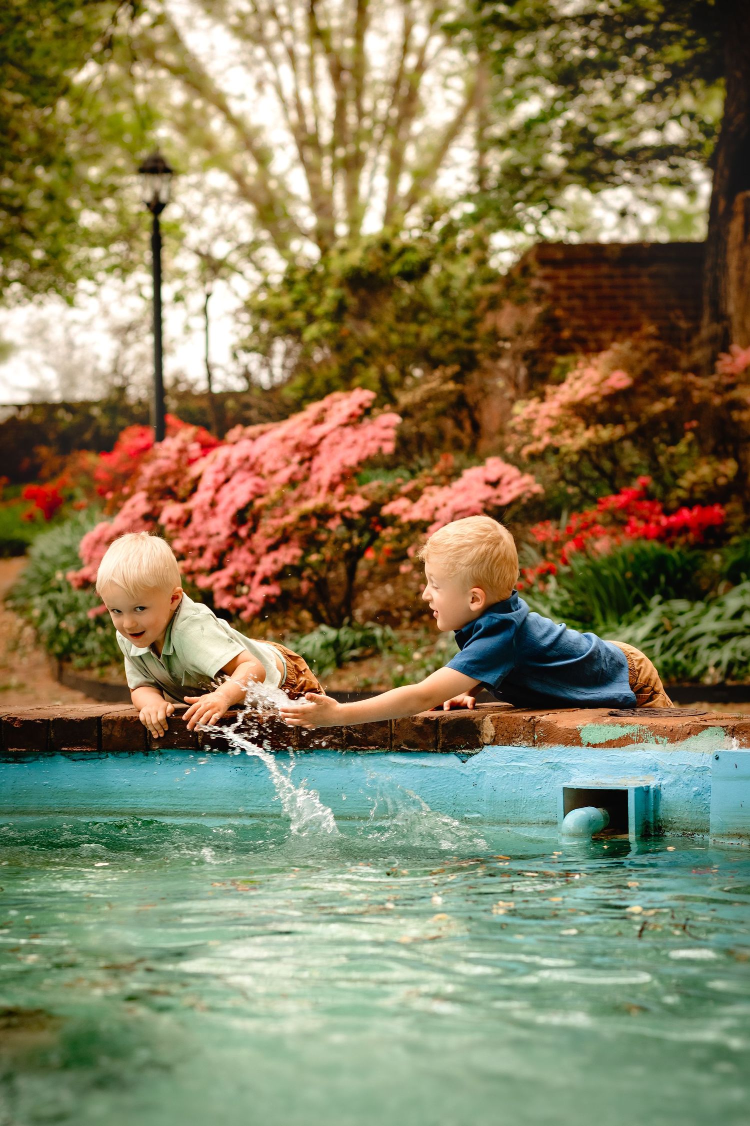 Brothers splash in a fountain against a backdrop of Azalea bushes in Orange, Virginia, captured by Charlottesville family photographer.