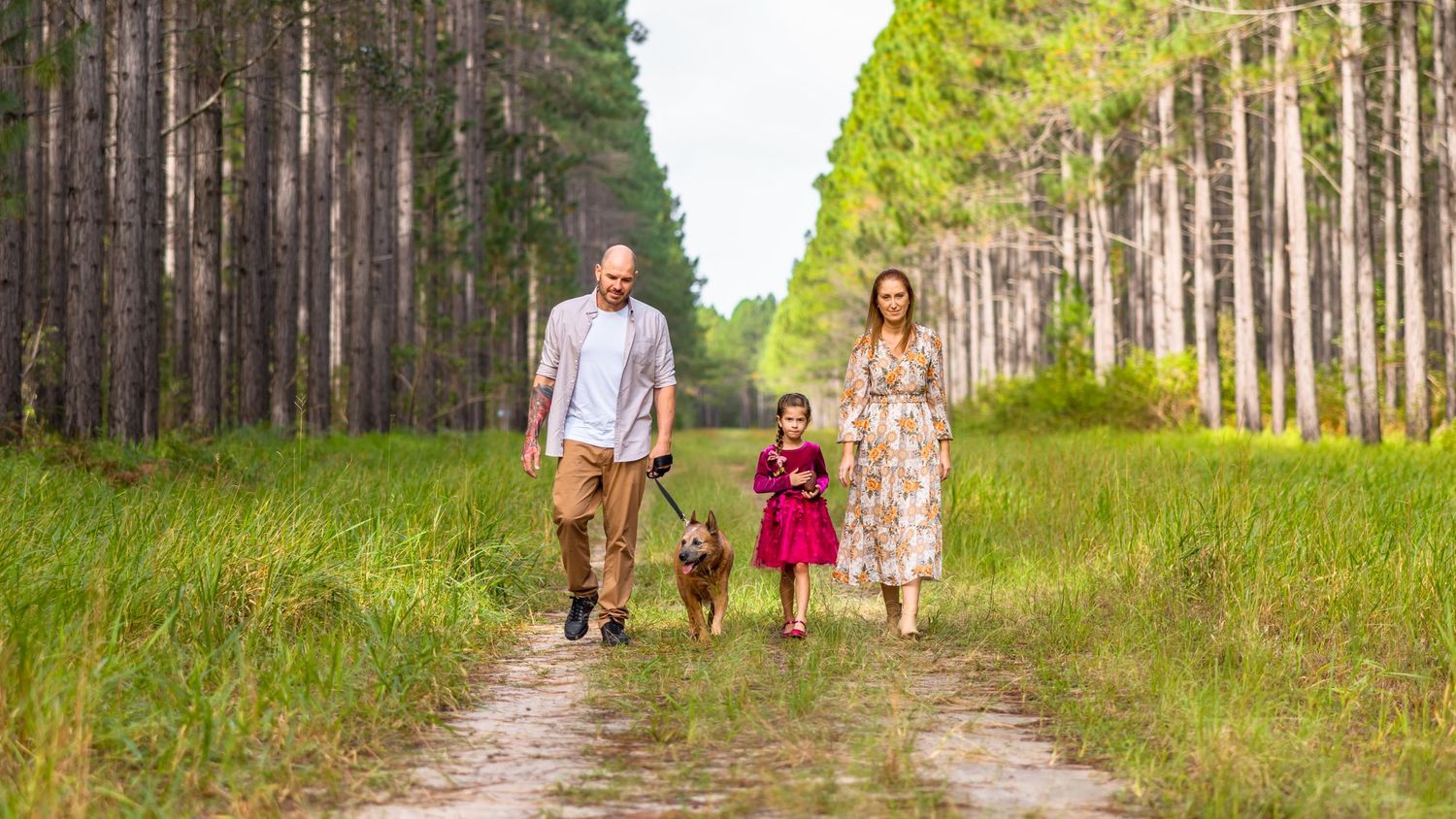 A sweet family of three and there dog walks hand-in-hand down a dirt path between two rows of tall, bare-trunked trees.