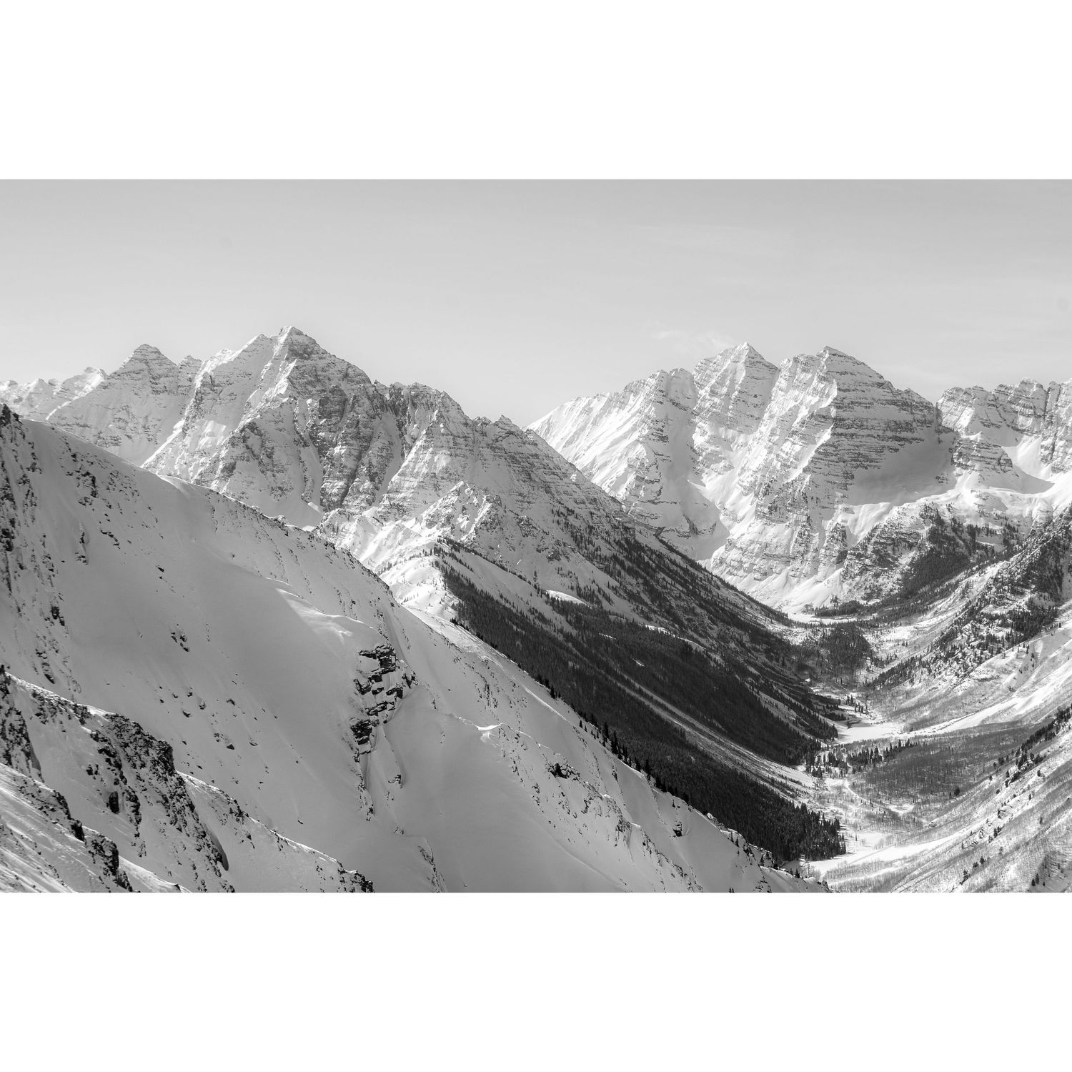 Landscape, Nature, Wildlife, Photography, Mountain Thyme Photography, Travel, Wildflower