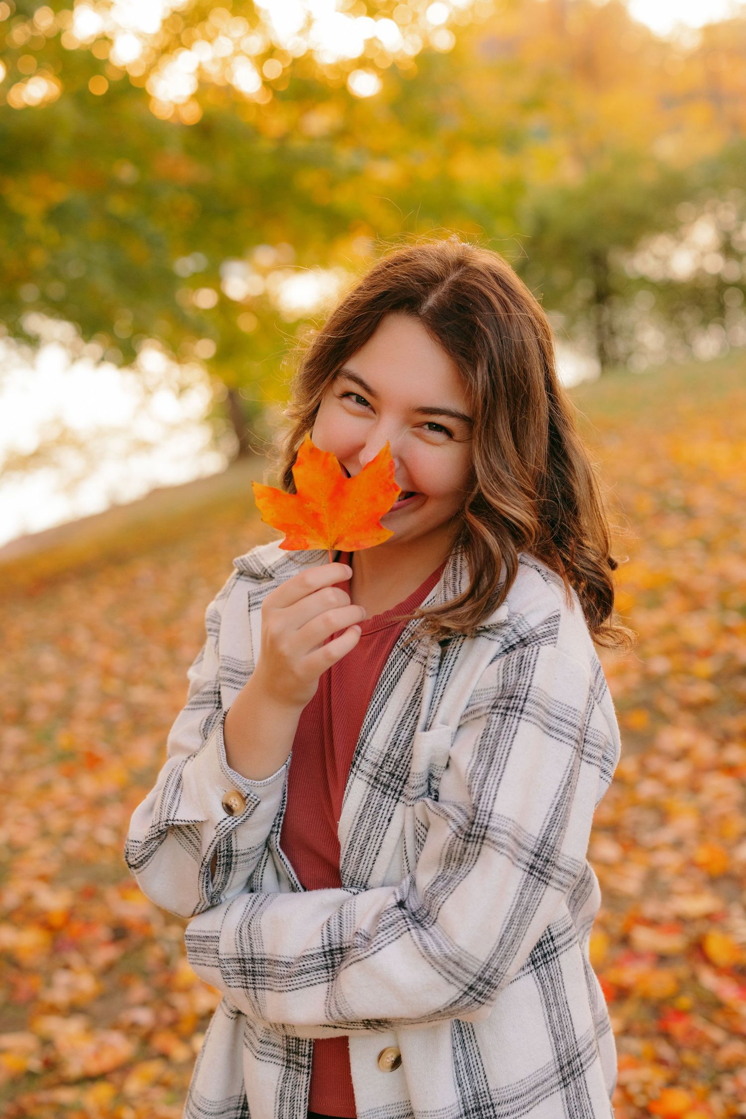 Person in plaid jacket holding orange maple leaf during autumn with golden bokeh lighting and fallen leaves in background.