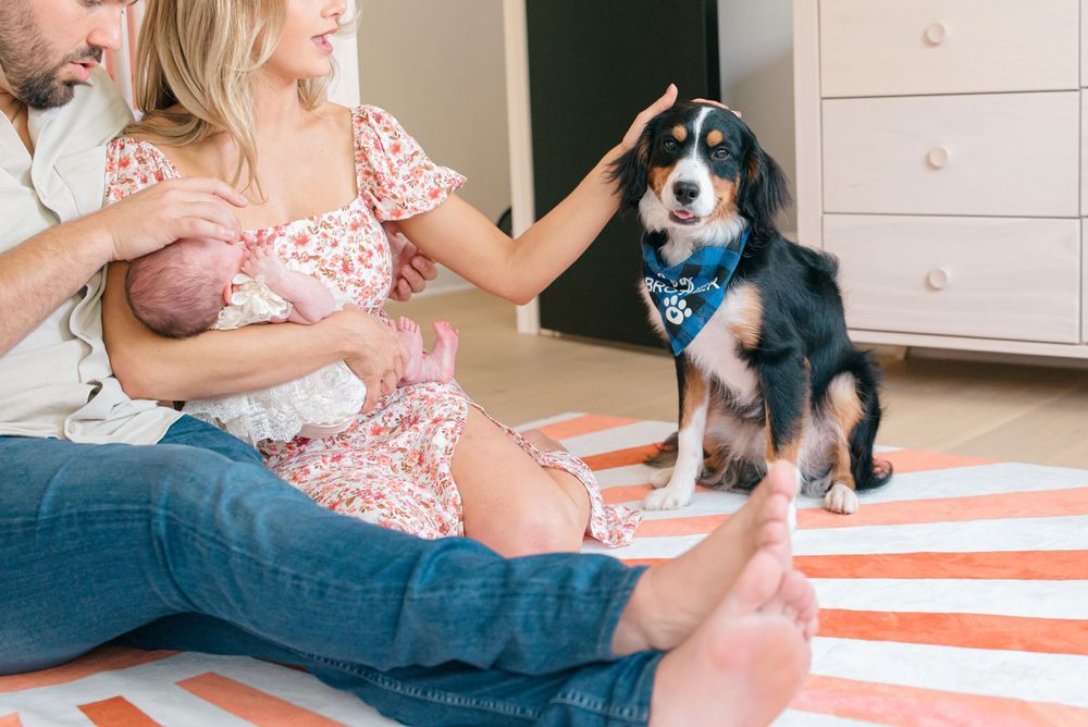 A colts neck nj family sits on the rug in the nursery with their newborn baby while the mother pets the dog.