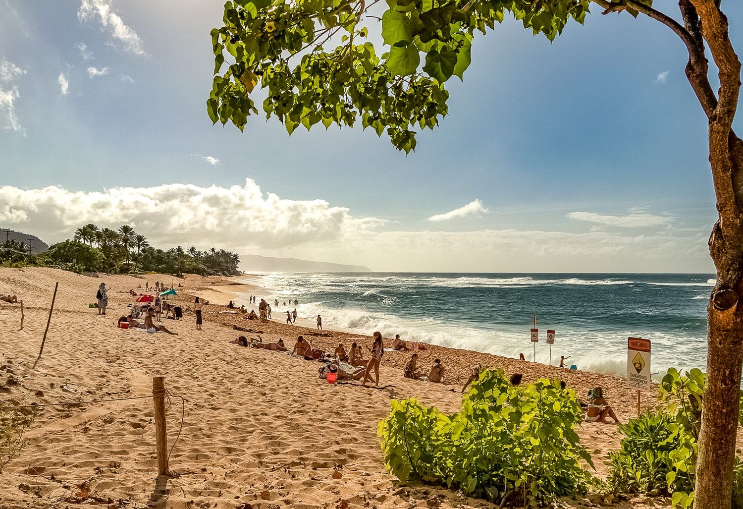 A sunny Hawaiian beach with palm trees and beachgoers enjoying the sand and waves along the tropical coastline.
