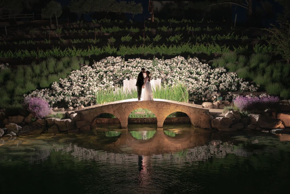 Paso Robles Wedding Photographer