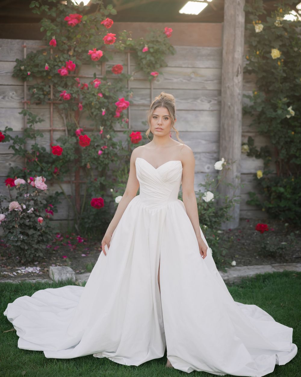 Bride in strapless sweetheart ballgown with slit train poses before rustic wood fence with blooming red roses.