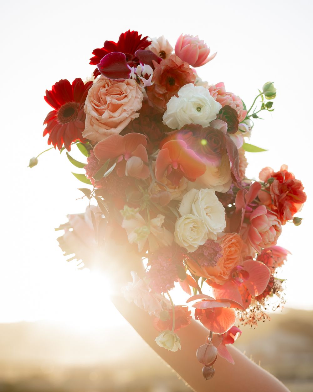 Lush bridal bouquet of red, pink, and white flowers held against a golden sunset backlight.