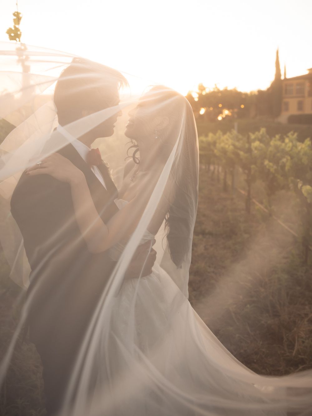 A bride and groom share a romantic moment at sunset in a vineyard, the brides veil billowing softly around them.