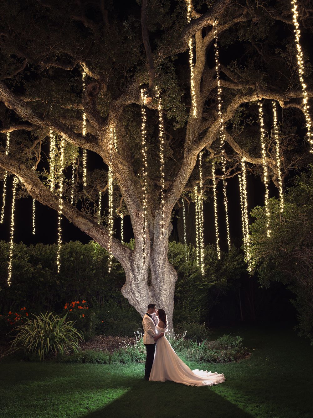 Bride and groom embrace under a majestic oak tree adorned with cascading fairy lights at night.