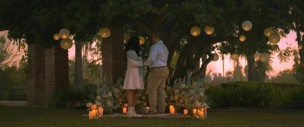 Elegant and Tangled themed proposal picnic set up