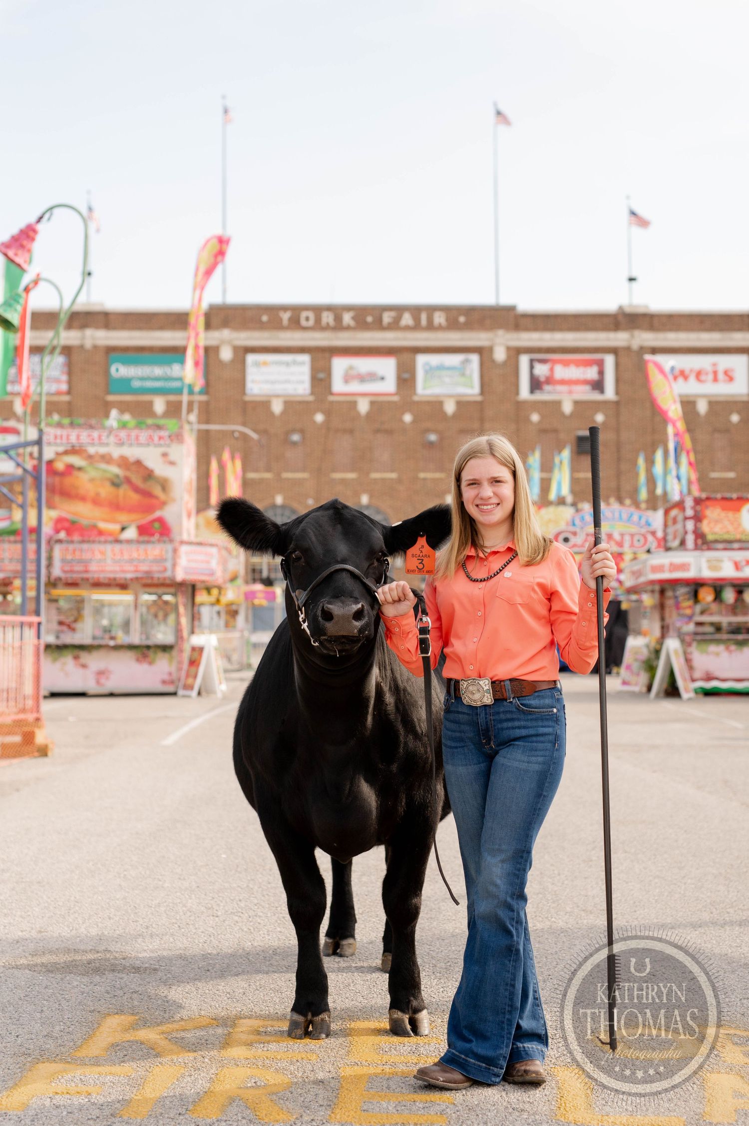 A black show cow poses with handler at York State Fair with carnival attractions in background.